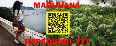 молекула духа Пенза