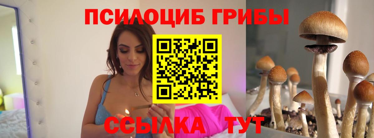 Галлюциногенные грибы ЛСД Скопин